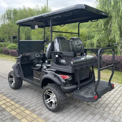 Hot Selling Ready Marca Nueva 6 asientos Baja velocidad Eléctrica Carrito de golf Power 5000 Watts