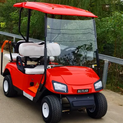Batería de litio AC Motor helado Golf Cart 4X4 Caza Carrito de Golf Club de coches para Parque de la Granja