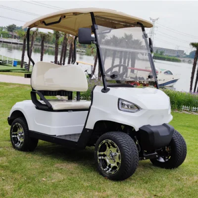 2 plazas 48V 60V 72V 4000W 5000W Star Electric Golf Cart