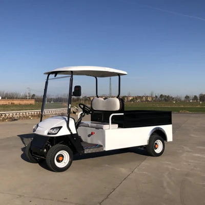 2 asientos de Golf de uso general carros / vehículo utilitario con carga trasera Caja/ Carro de Golf con cama cargo
