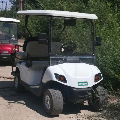 Fabricante China High Quality 4 Wheels Electric Golf Cart con Almacenamiento grande