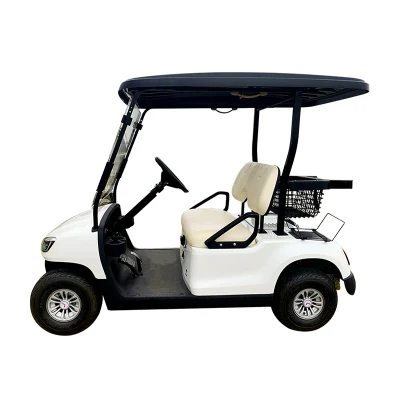 Fábrica directamente Calle Legal Club coche eléctrico Golf Cart Buggy Precios de venta