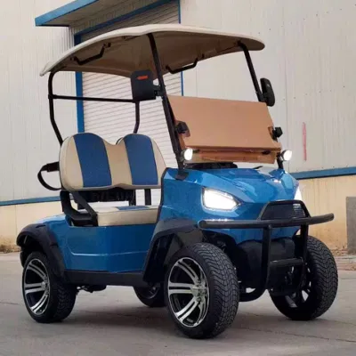Aprobación CE vecino Turismo Buggy 2 plazas Utilidad Mini Golf Carro