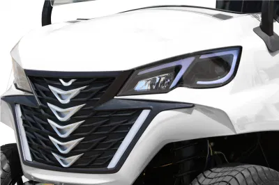Batería de Litio de alto rendimiento forjar G6+2 Carrito de golf eléctrico personalizada cochecito de golf