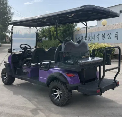 Moda moderna 2022 Diseño nuevo Wh2020K-2-B fábrica 2 asientos Recorrido turístico Bus Club Cart Golf eléctrico Buggy Caza Cart con