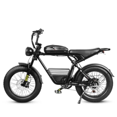 2023 Nuevo vendedor 1000W 48V 16Ah la suspensión total del neumático Fat off road bicicleta eléctrica Eléctrica Dirtbike adultos