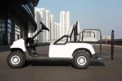CE aprobada alimentado con batería de carro/coche de golf en venta