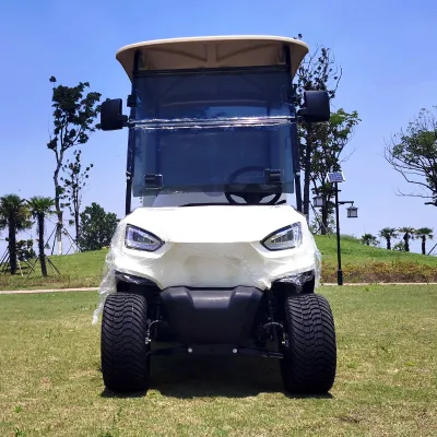 2 Electric Food Delivery Car 4X4 72V plazas de litio Golf Carrito para el Servicio de habitaciones del Hotel