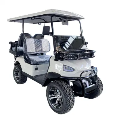 4+4 Road off Wheels cerrado Lithium Golf Cart han Ready Mercancías 6 plazas carrito de golf