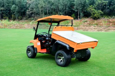 Venta caliente off-road de la utilidad de Mini vehículo agrícola ATV con 2 plazas