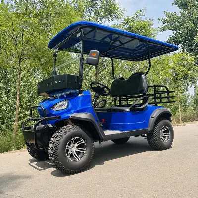 2024 Scooter eléctrico/ gasolina Cart 4 6 seater icono usado Carros de golf con gas y personalización gratuita
