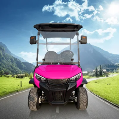 Super Quality Golf Cart 2 asientos Predator G2 Electric Golf Coche