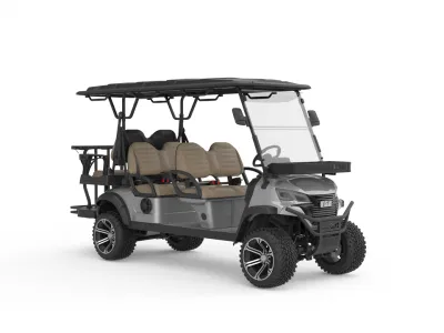 Nuevo molde eléctrico Golf Cart 4 frenos de disco Nuevo 6 Carrito de Golf con Gag de Golf