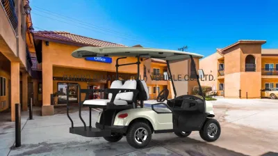 Nice Club Car Golf Carts Electric Cart Venta caliente