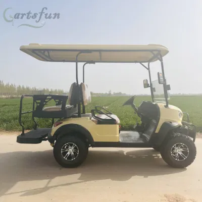 Autobús turístico de la energía eléctrica al estilo occidental, carrito de golf de 2 asientos