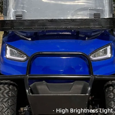 Gran volumen de suministro Carrior de Golf Carro todo terreno cuatro Wheel Street Legal 4 asientos Electric modificado carrito de golf