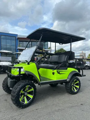 Carrito de Golf de descuento de Niza de fábrica directa con poder fuerte Y batería de litio