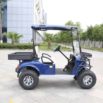 China eléctrica fabricantes OEM de carros de la caza de 4X4 levantaron el carro (DH-C2)