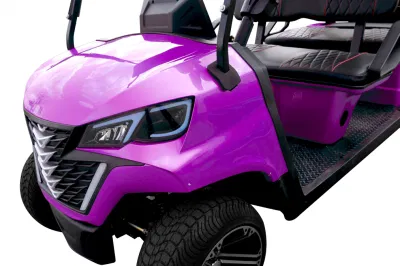 Precio de fábrica Lithium Battery Forge G4 Electric Golf Cart Golf Buggy 4 plazas