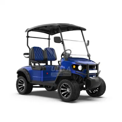 Ulela Advanced EV Golf Cart Dealers Electric Rear Drive cerrado Golf Buggy Electric China 2 asientos E Car Golf Cart