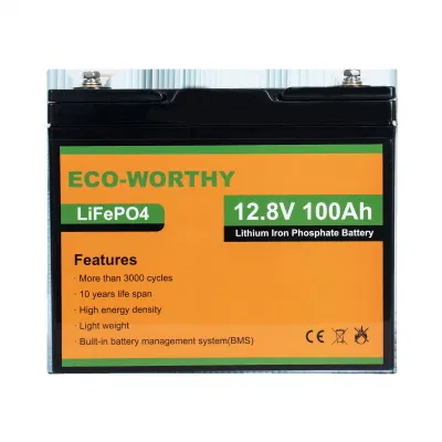 Eco-digno de alta calidad ciclo profundo 12V 100ah BMS LiFePO4 litio Batería