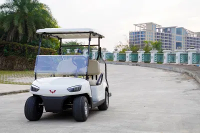 Carrito de Golf Eléctrico Carro de Golf Eléctrico Barato Carros de Golf Eléctricos Carro de Golf Eléctrico Club con Certificado CE