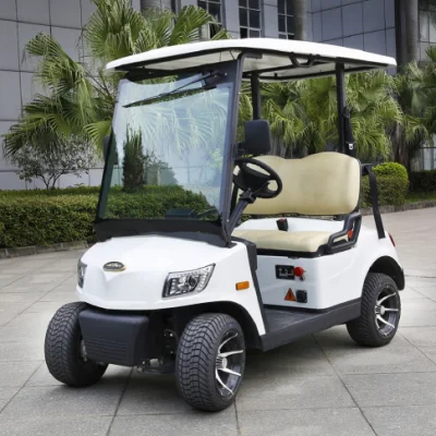 Contenedor eléctrico de acero CE China cargo Marshell Golf Cart DS-A2