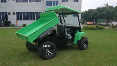 Diseño especial de agricultura de Off Road 5kw a 48V Vehículo Utilitario eléctrico carretilla granja