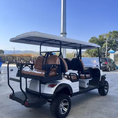 Nuevo diseño Tourist 6 Passenger Utility Carts White Hunting Gas Carrito de Golf