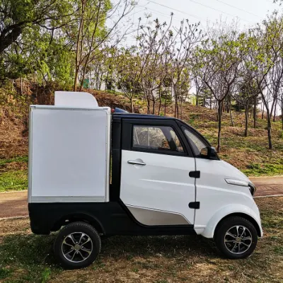 L6e 105ah batería eléctrico Mini Van vehículo para la venta