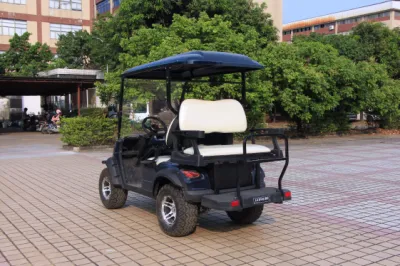 Azul Color Trojan batería eléctrico Golf Car impermeable Mini Tipo