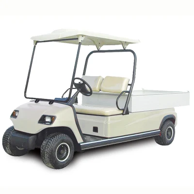 Batería 2 asientos autobús turístico eléctrico Golf Cart cargo Car (Lt-A2. H8)