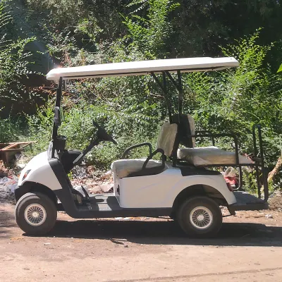 2+2 asientos Electric Golf Cart Nice Design Mini Golf Buggy Con un precio competitivo