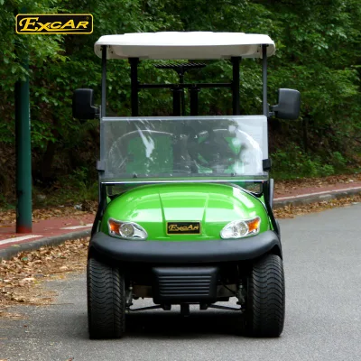 2 Personas nuevo carrito de golf Mini Eléctrico