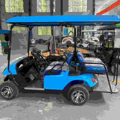Batería de litio AC Motor helado Golf Cart 4X4 Caza Carrito de Golf Club de coches para Parque de la Granja
