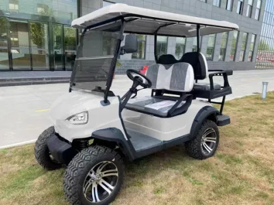 Nice Price Golf Cart Alta calidad de China Factory High Velocidad