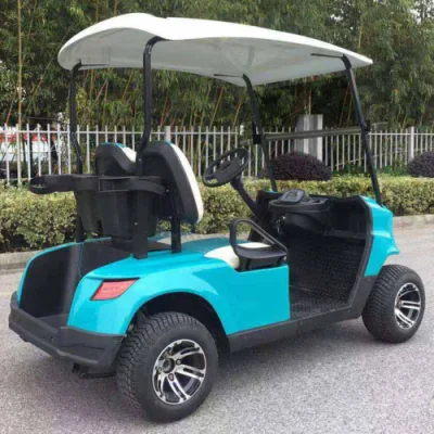 2 plazas 48V 60V 72V 4000W 5000W Star Electric Golf Cart
