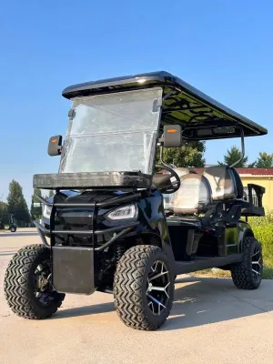 Nuevo producto Mini Golf Cart 48V 60V Custom Electric off Carros de golf para el concesionario