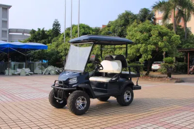 Azul Color Trojan batería eléctrico Golf Car impermeable Mini Tipo