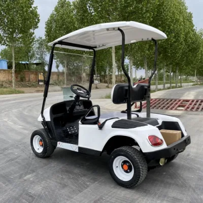 Evolution 48V 5seat 6seat Cartevolution 48V 5seat 6seat Carrito eléctrico de Golf