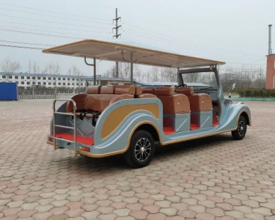 Raysince autobús turístico eléctrico autobús eléctrico Vintage coche con CE Certificado