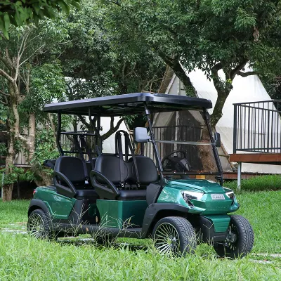 Nueva fábrica de diseño 2 + 2 Buggy de golf eléctrico Coche de caza