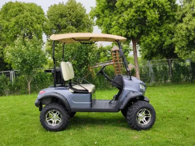 2 asientos 110ah 72V Calle Legal cerrado Carro de Golf con APROBADO POR DOT