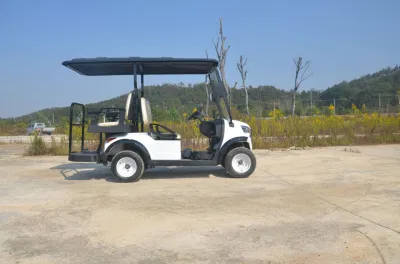 2023 Electric Club off-Road Vehicle DS Outdoor &amp; Tourist Attraction Coche turístico