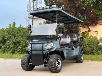 6 asientos modificado eléctrico Golf Cart World Street Legal