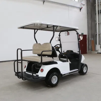 Usa Popular Golf Cart Top Range Family Use Luxury Golf Cart Street Legal con batería de litio de gran potencia