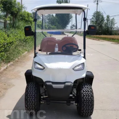 2 plazas 48V 60V 72V 4000W 5000W Star Electric Golf Cart