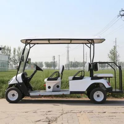 2 batería de plomo ácido 1+6 fila 60V asientos Golf Club Vehículo de servicio
