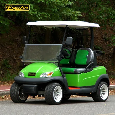2 Personas nuevo carrito de golf Mini Eléctrico