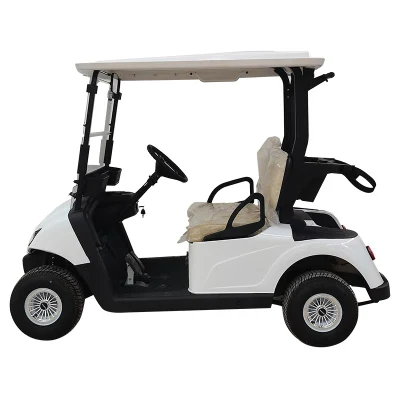 Coche de golf modificado buggy de golf motorizado con el mando a distancia mejor eléctrico Tiro Cart Golf